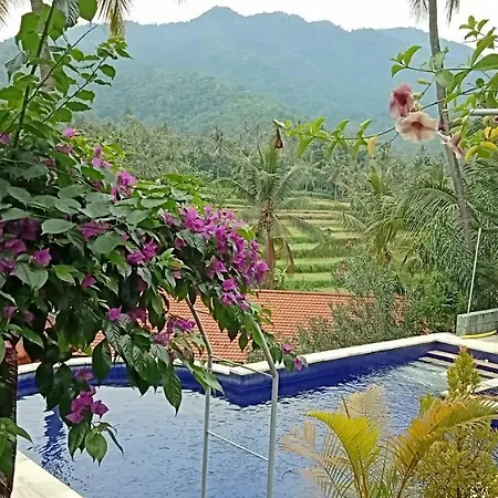 Lotus Guesthouse Sudaji